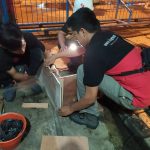 IMG-20190821-WA0103