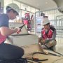 IMG-20200421-WA0041